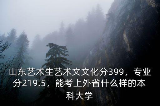 山東美術藝考文化分多少,山東美術文高考生