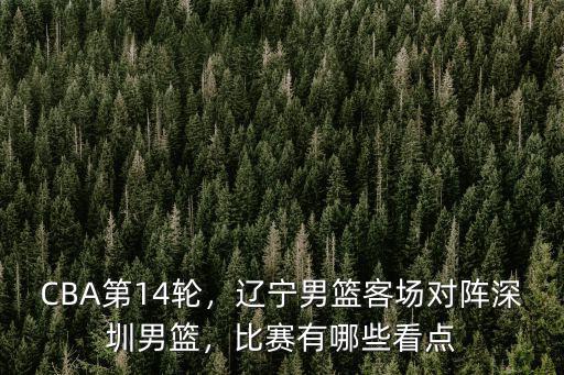CBA第14輪，遼寧男籃客場對陣深圳男籃，比賽有哪些看點