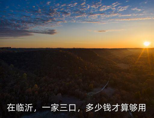 在臨沂，一家三口，多少錢才算夠用