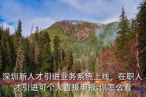 深圳新人才引進業務系統上線，在職人才引進可個人直接申報,你怎么看