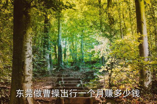 深圳曹操出行租車多少錢一個月,在深圳開網租車