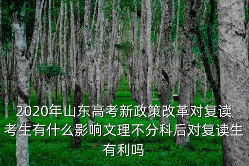 2020山東復讀生有多少,文理不分科后對復讀生有利嗎