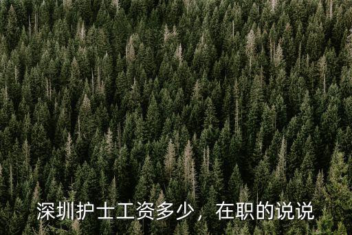 深圳護(hù)士工資多少，在職的說說
