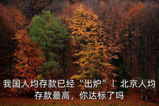 濟(jì)南人均存款多少,我國(guó)人均存款已經(jīng)出爐