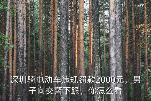 深圳正規(guī)交警多少錢一個月,一個月大概能跑多少錢
