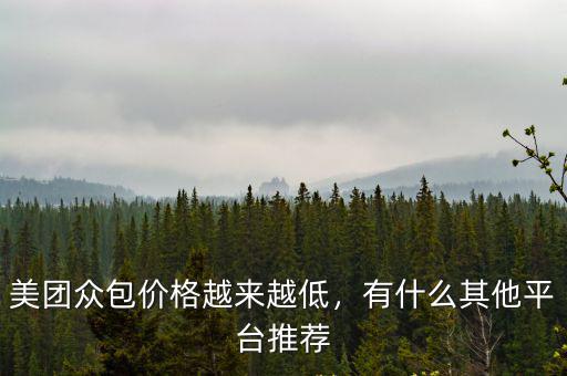 美團眾包價格越來越低，有什么其他平臺推薦