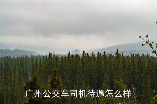 廣州哪里有交警招聘,廣州公交車司機(jī)待遇怎么樣