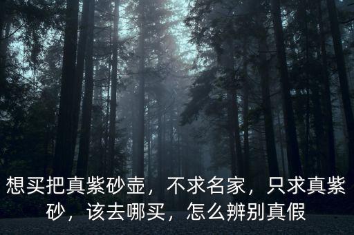 中山哪里可以買到真紫砂壺,從哪兒可以買到真紫砂壺
