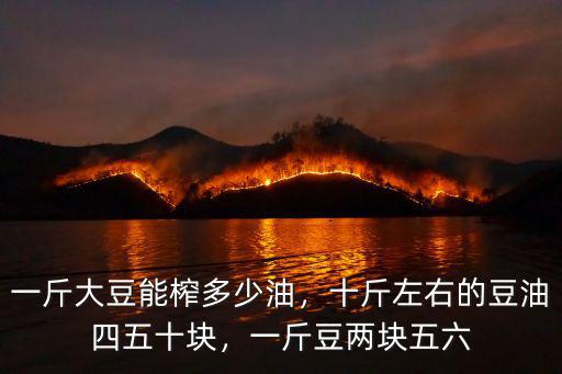 一斤大豆能榨多少油，十斤左右的豆油四五十塊，一斤豆兩塊五六