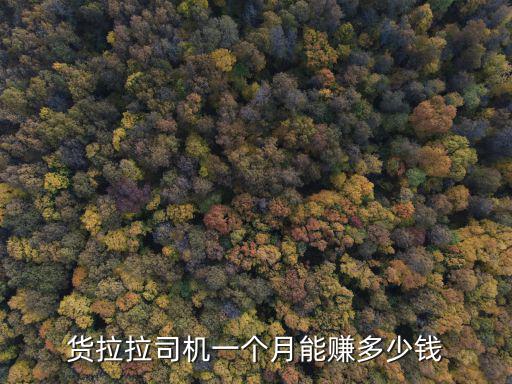 貨拉拉司機一個月能賺多少錢