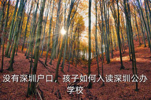 深圳有多少技校公辦的,在深圳上中專技校會有出息嗎