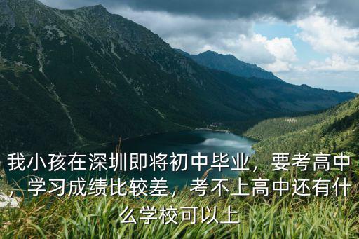 怎么上深圳高中,深圳公辦高中太少了