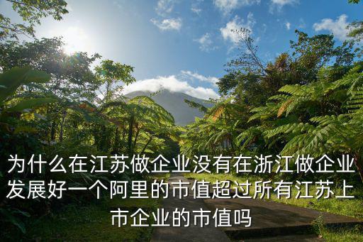浙江人在江蘇有多少人辦企業(yè),江蘇有多少溫州投資商