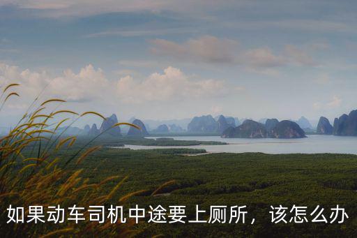 如果動車司機中途要上廁所，該怎么辦