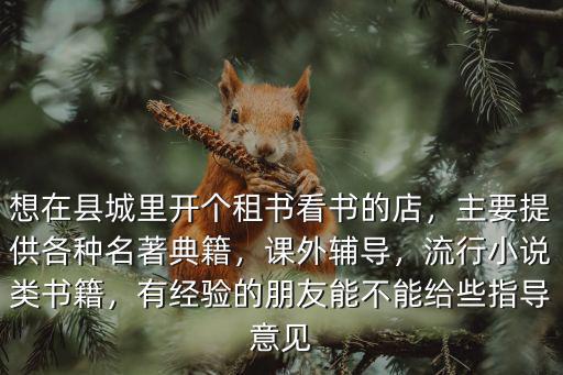想在縣城里開個租書看書的店，主要提供各種名著典籍，課外輔導，流行小說類書籍，有經驗的朋友能不能給些指導意見