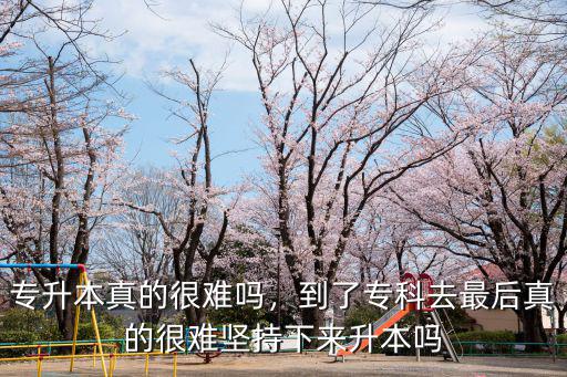 江蘇成人專升本難嗎通過率多少,大專升本難嗎