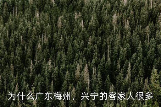 以前的廣東梅州市是哪里,你對廣東梅州的印象是怎樣的