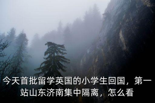 今天首批留學(xué)英國的小學(xué)生回國，第一站山東濟南集中隔離，怎么看