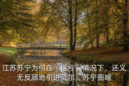 江蘇蘇寧為何在“巨虧”情況下，還義無反顧地引進貝爾，蘇寧圖啥