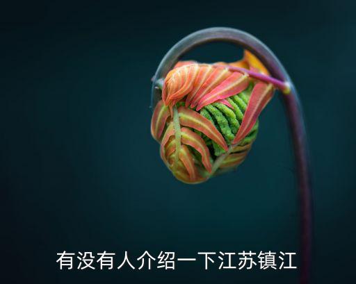 有沒有人介紹一下江蘇鎮(zhèn)江