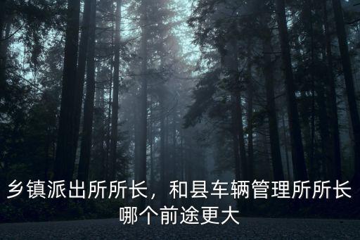 鄉鎮派出所所長，和縣車輛管理所所長哪個前途更大