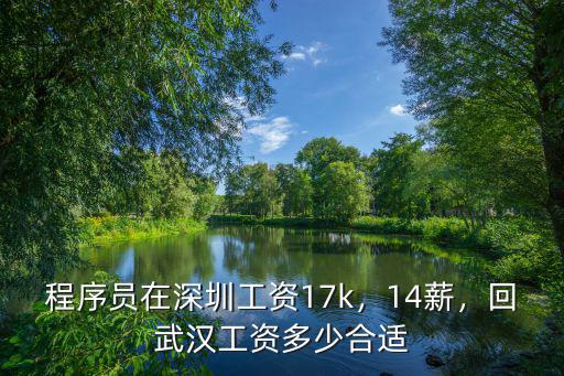 深圳211程序員工資多少,程序員在深圳工資17k