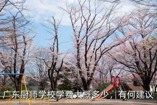 潮州烹飪學校學費多少,學習烹飪學費大概要多少錢