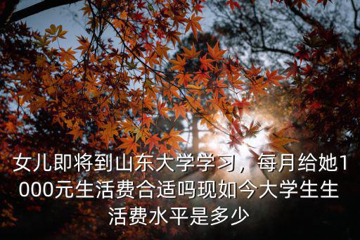 女兒即將到山東大學(xué)學(xué)習(xí)，每月給她1000元生活費(fèi)合適嗎現(xiàn)如今大學(xué)生生活費(fèi)水平是多少