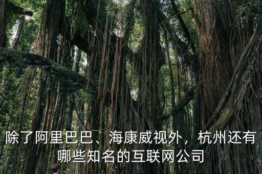 杭州有多少網游公司,杭州有多少家互聯網公司
