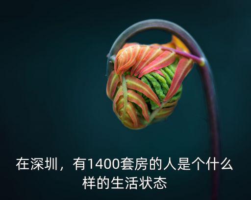 深圳有3套房以上房子有多少人,42歲的人深圳有3套房