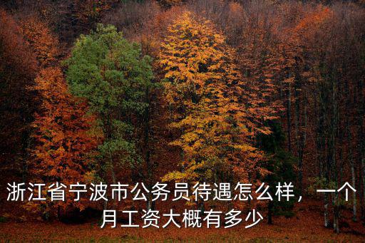 寧波本科生工資多少錢,寧波工資平均到個(gè)人有多少錢