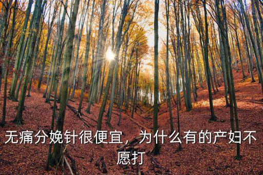 無痛分娩針很便宜，為什么有的產(chǎn)婦不愿打