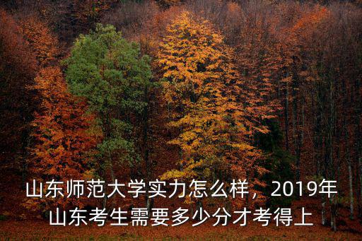 山東師范大學實力怎么樣，2019年山東考生需要多少分才考得上