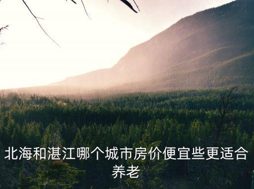 北海和湛江哪個城市房價便宜些更適合養(yǎng)老