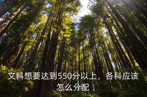 文科想要達到550分以上，各科應該怎么分配