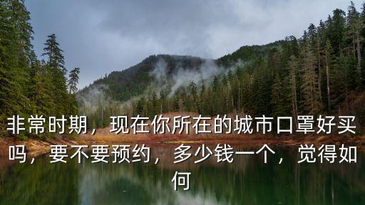 非常時期，現(xiàn)在你所在的城市口罩好買嗎，要不要預(yù)約，多少錢一個，覺得如何