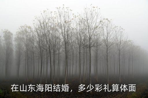 在山東海陽結婚，多少彩禮算體面