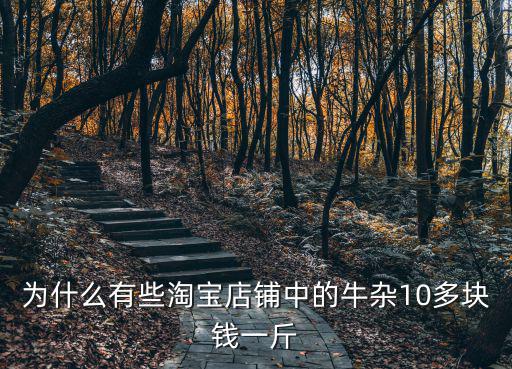湛江一斤牛雜多少錢,湛江為何牛雜那么多