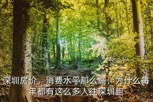 深圳房價(jià)，消費(fèi)水平那么高，為什么每年都有這么多人往深圳跑