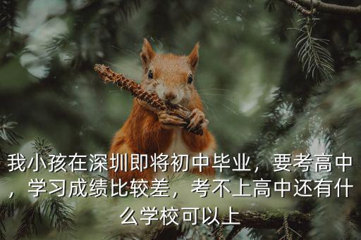 我小孩在深圳即將初中畢業，要考高中，學習成績比較差，考不上高中還有什么學校可以上