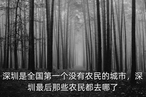 深圳是全國第一個沒有農民的城市，深圳最后那些農民都去哪了