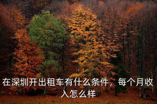 開深圳出租車一個月賺多少錢,海口開出租一個月能賺多少錢