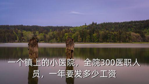 一個鎮上的小醫院，全院300醫職人員，一年要發多少工資