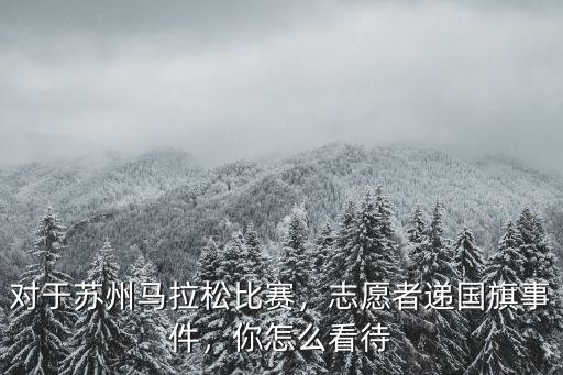 對于蘇州馬拉松比賽，志愿者遞國旗事件，你怎么看待