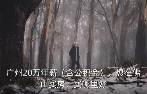 廣州20萬年薪（含公積金），想在佛山買房，買哪里好