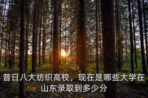 東華大學山東錄取分數線是多少,現在是哪些大學