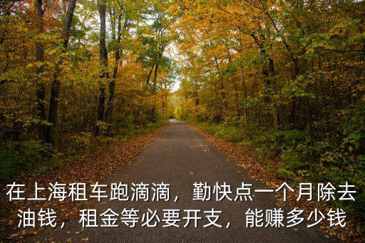 南京開滴滴 一個月多少錢一個月多少錢,一個月汽油費多少錢
