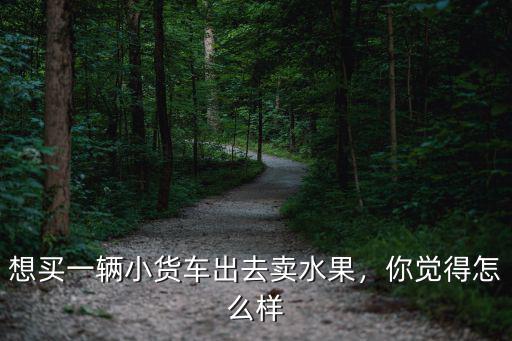 想買一輛小貨車出去賣水果，你覺得怎么樣
