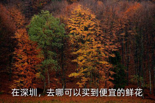 在深圳，去哪可以買到便宜的鮮花