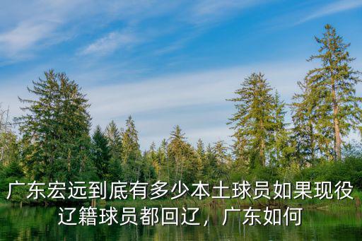 廣東宏遠到底有多少本土球員如果現役遼籍球員都回遼，廣東如何